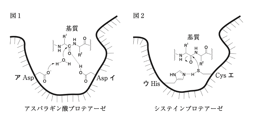 解説画像